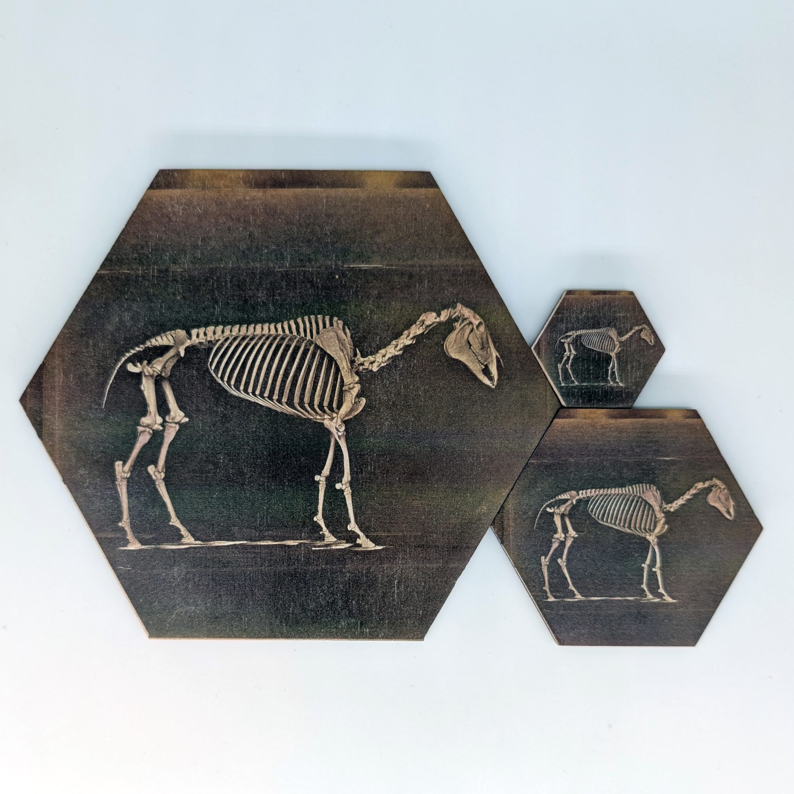 Horse Skeleton hex tile shown in 1.5-inch, 3-inch, and 6-inch sizes