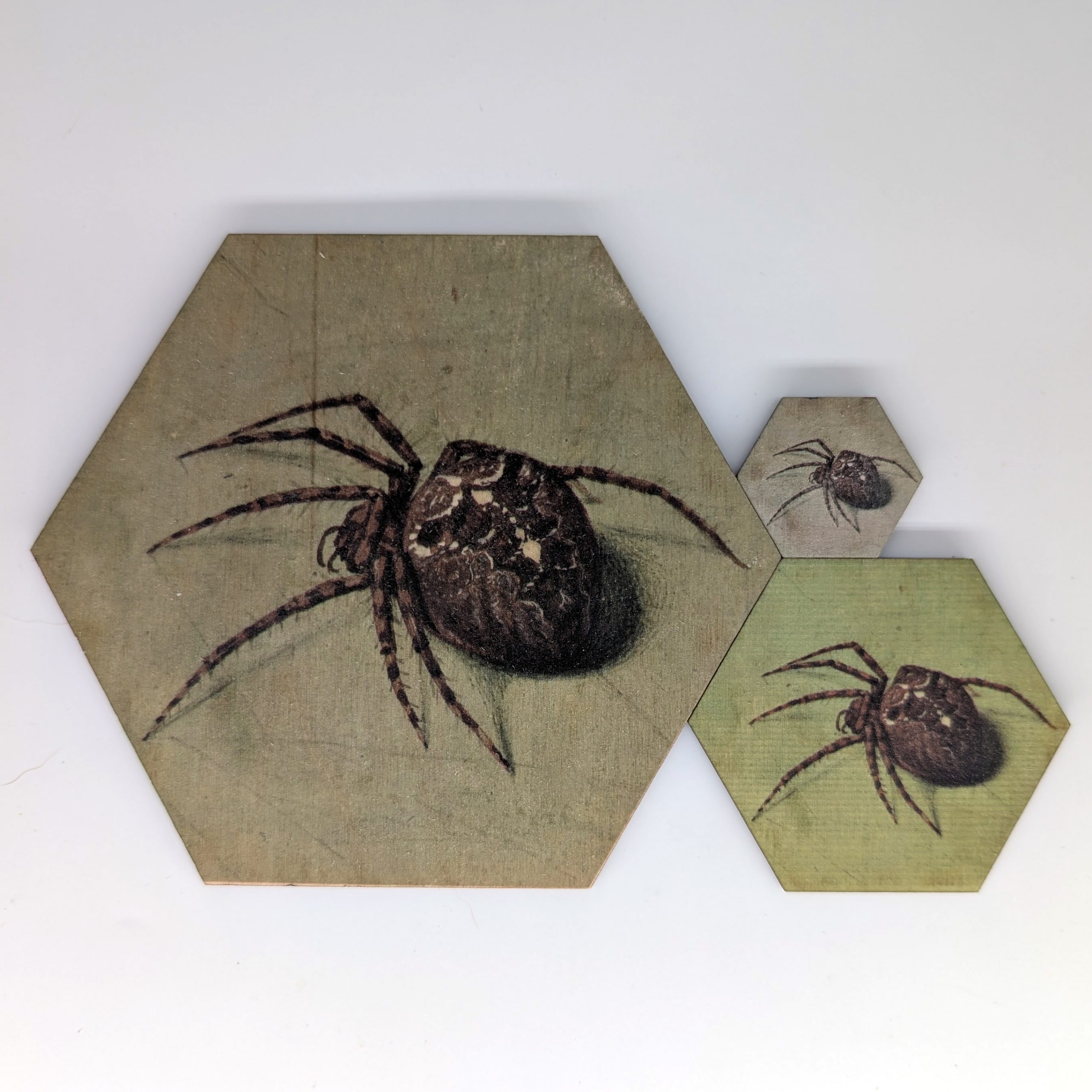 Spider green hex tile shown in 1.5-inch, 3-inch, and 6-inch sizes