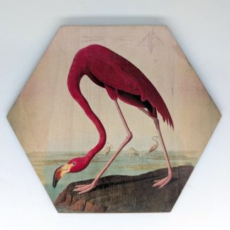 Pink flamingo hex tile, 6-inch size, reproducing Audubon's American Flamingo