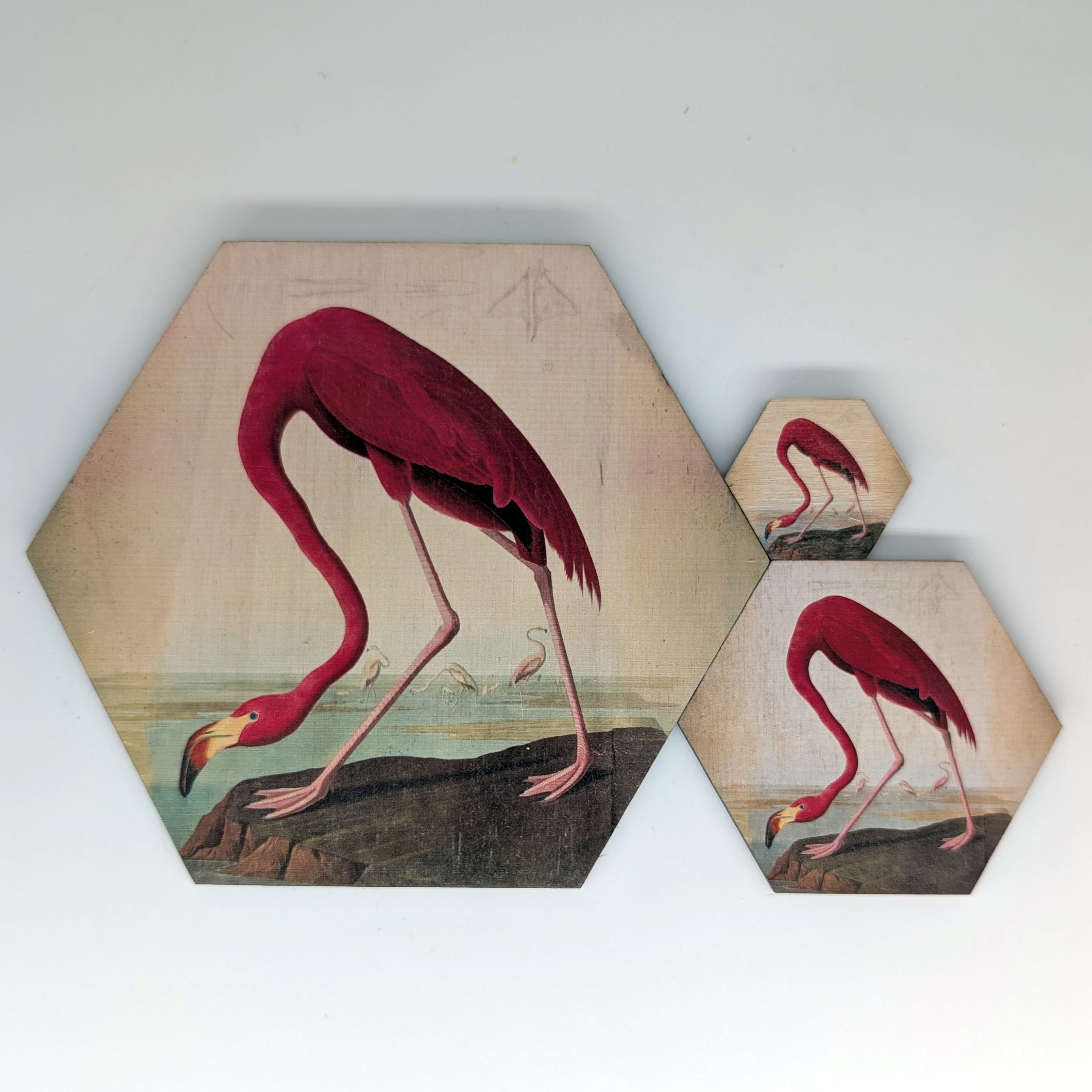 American Flamingo pink hex tile shown in 1.5-inch, 3-inch, and 6-inch sizes